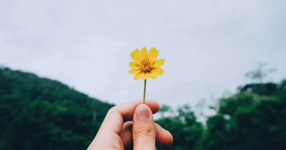 Six Ways to Tend Your Soul in Times of Turmoil