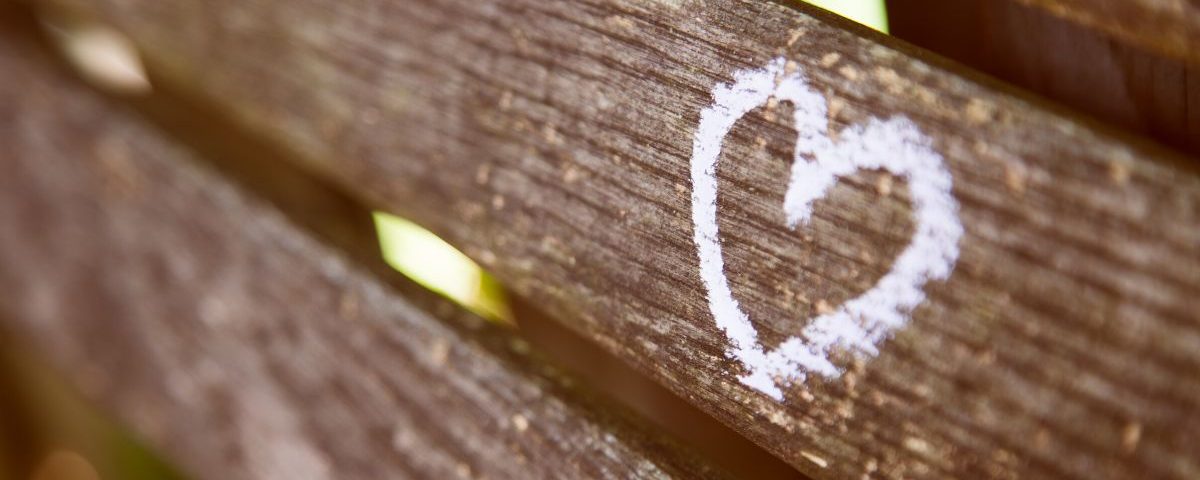 He Delights in You – Devotion