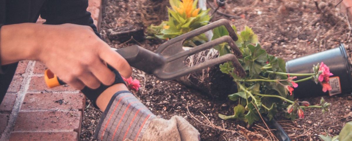 Engage All of Your Senses: Spend Time in a Garden