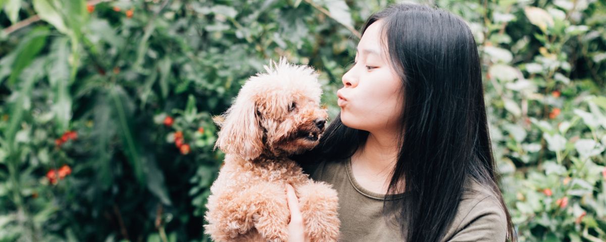 Paw Parents – Which Generation Spends the Most Time and Money?