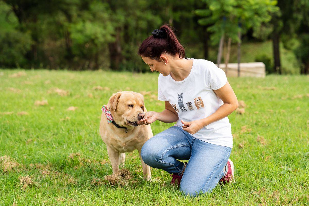 Dog eating a treat from Bianca's hand