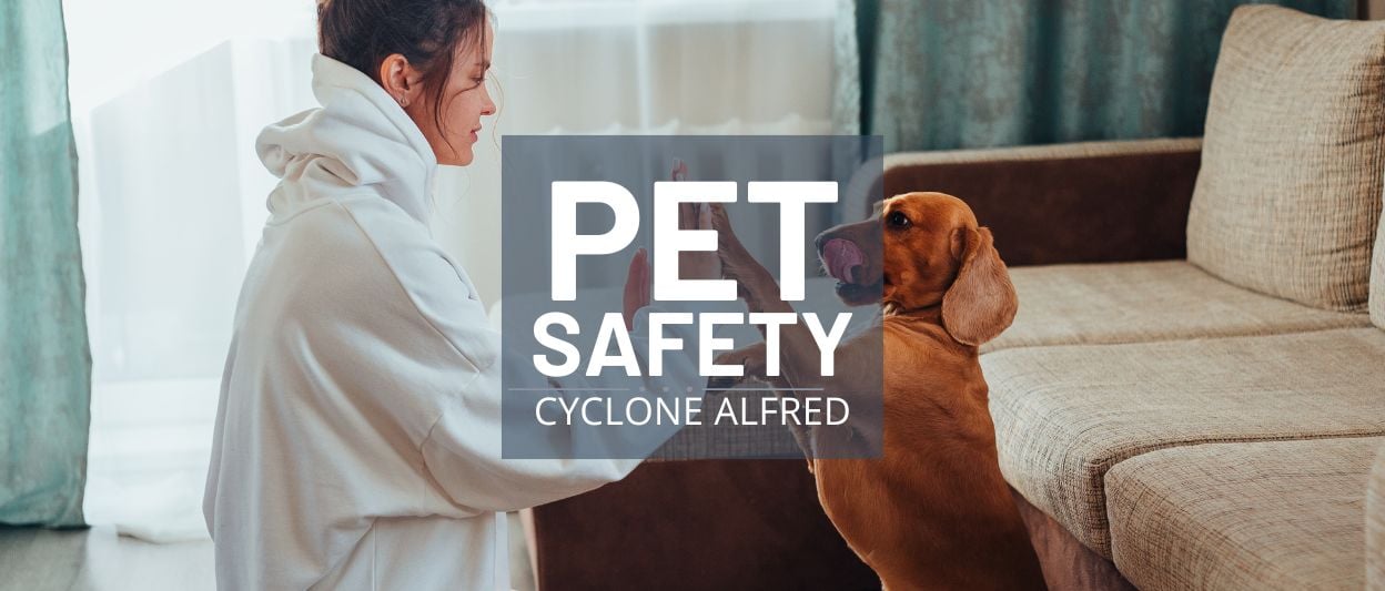 Cyclone Alfred: Keeping Dogs Safe