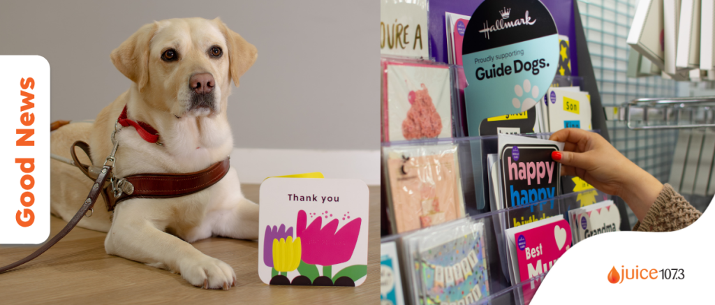 Hallmark X Guide Dogs Australia collaborate to create accessible card range. Photos supplied by Grace Tough at Keep Left for Guide Dogs Australia with permission to use Juice 2