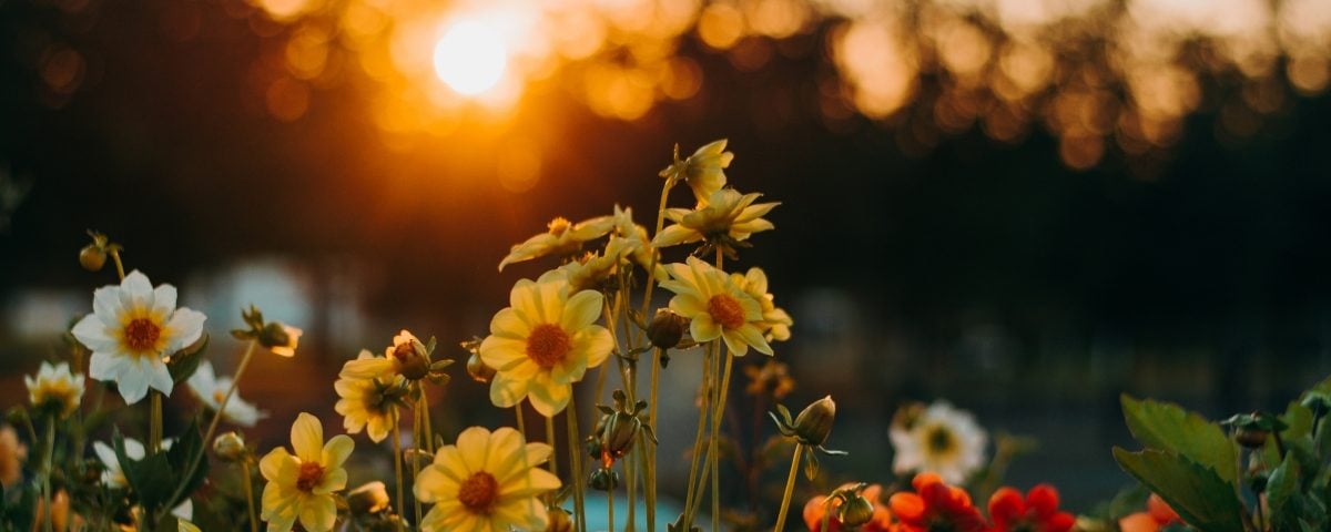 Life – and 7 other L Words