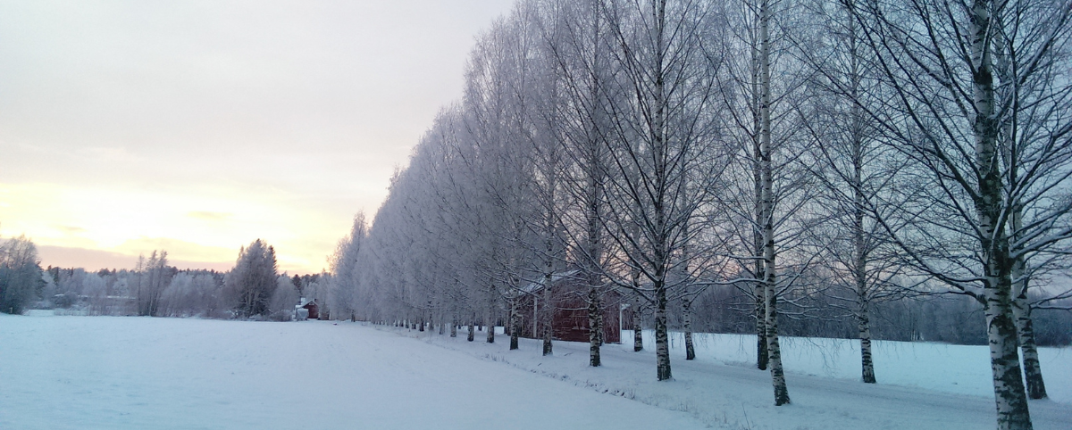 Four Postures of Faith: Knowing your Season