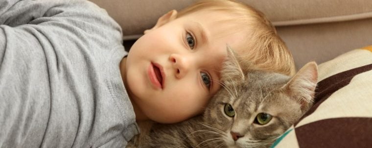 Pet lover, Photo by Canva Pro