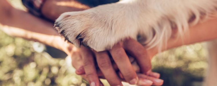 Pet lover, Photo by Canva Pro (2)